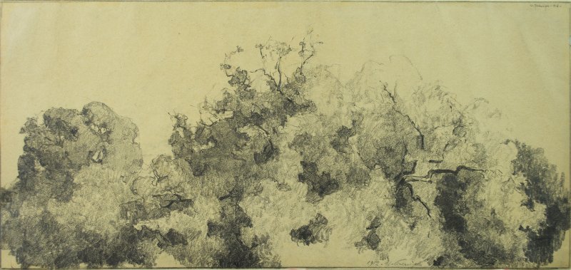 1912 - Alberi (studio per L'agone dei centauri)